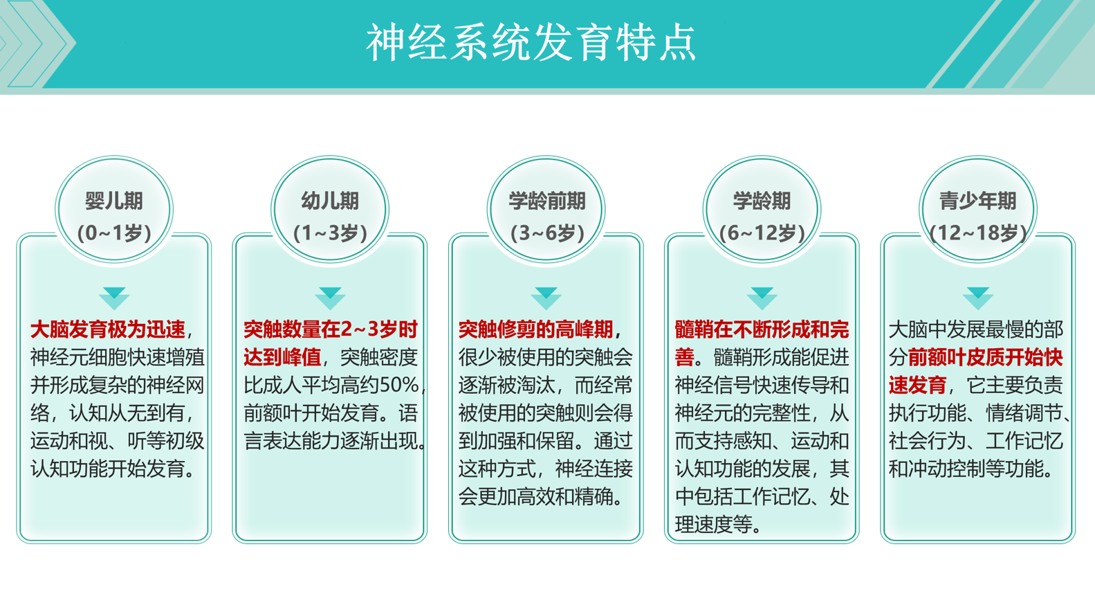 PPT-10页.jpg