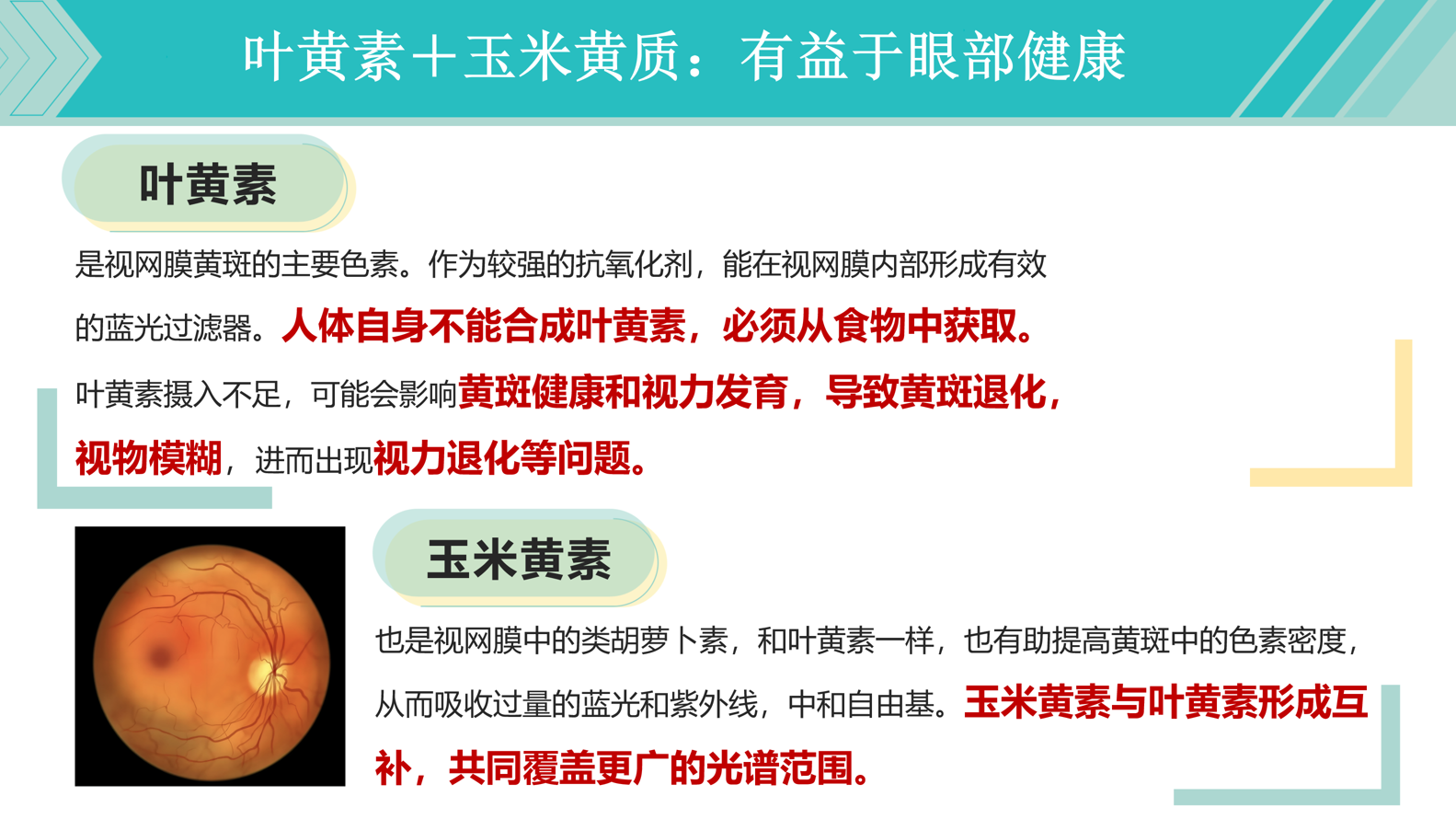 PPT-19页.jpg